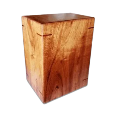 koa medium urn