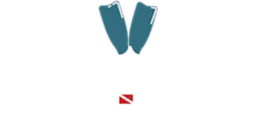 Reef House Resort