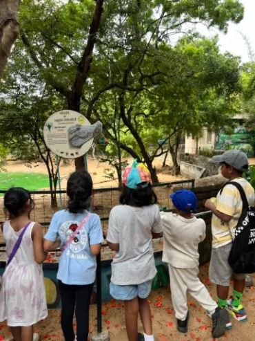 Children observing an animal enclosure at a zoo.