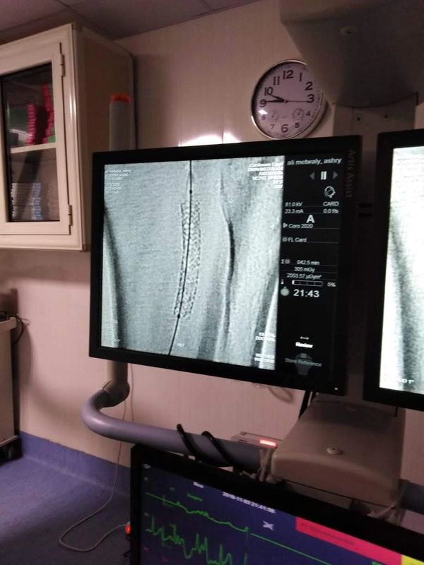 دكتور/ أحمد عرفات