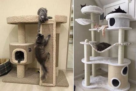 Cat Tree Playhouse
