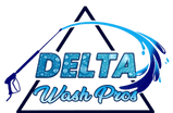 Delta Wash Pros LLC