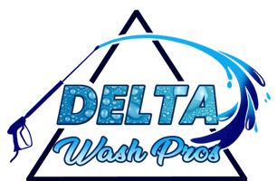 Delta Wash Pros LLC