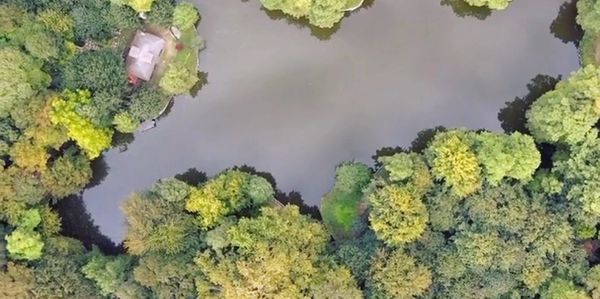 Aerial view of a lake surrounded by dense green trees and a small house.