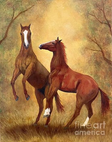 Yearling colts at play