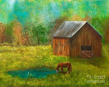 Horse drinking water