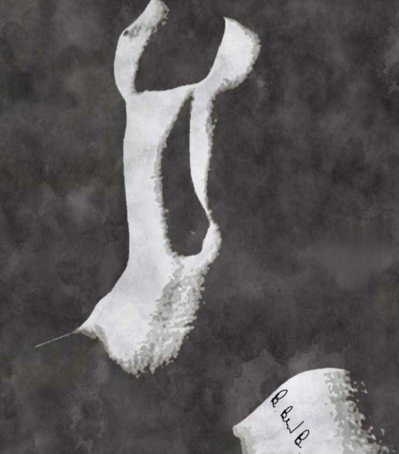 1000019044.png