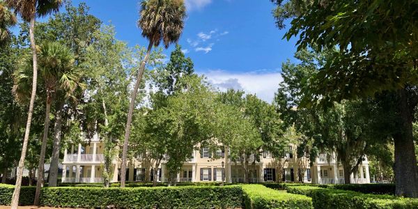 Sunny day with lush greenery and elegant buildings in the background.