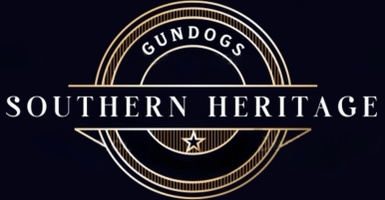 Southern Heritage Gundogs