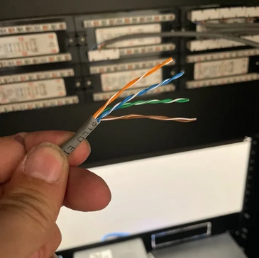 CAT5e cable exposed at the back of a patch panel.