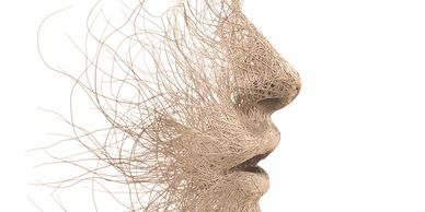 Image of a face looking sideways constructed with natural colour wire. 