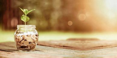 A jam jar containing pennies and a small sapling growing from it. 