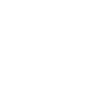FlyScan