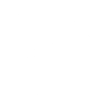 FlyScan