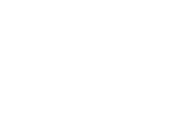 RISE INDY