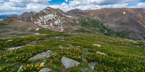 Mountain landscape with wildflowers and patches of snow.