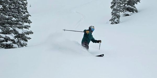 Skier gliding through fresh snow between snowy trees.