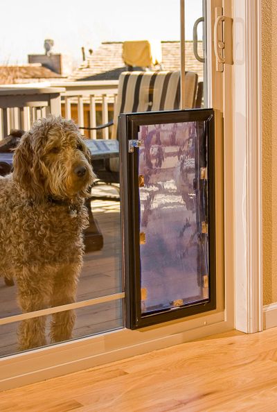 Palmer Window Patio Door with Pet Door