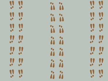 Brown footprints arranged in vertical columns on a light grey background.