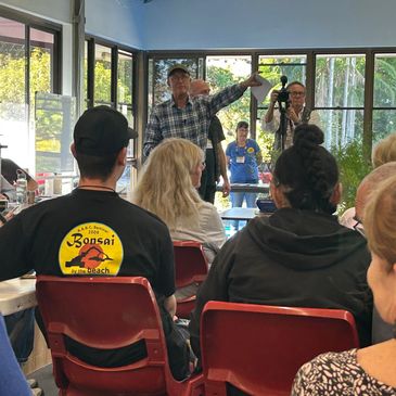 Gold Coast Tweed Bonsai Club meetings and auctions Art of Bonsai white pine auction tree 