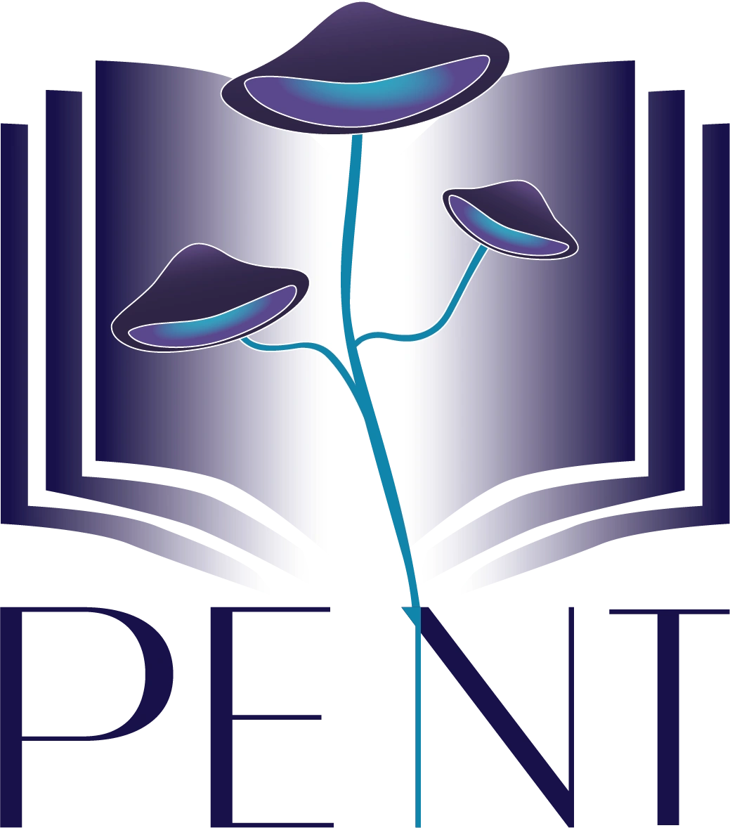 Pent Limited LC