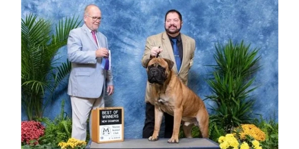 GCH Tyson