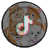 Petscentralorg Dogs Lives Matter Foundation