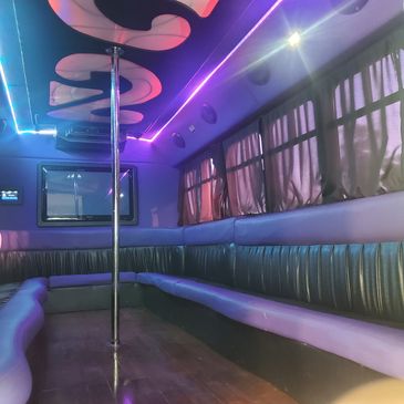 16 passenger party bus in Atlanta