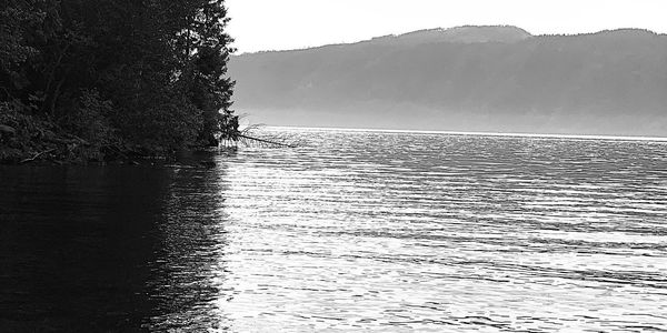 Black and white photo of a lake with trees and hills.