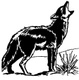 The Coyote Gypsies