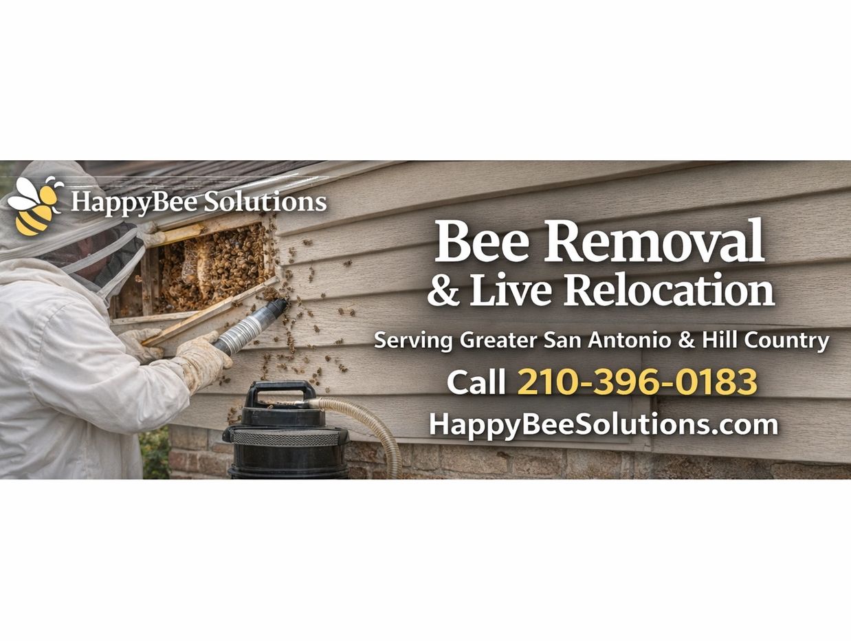 Bee REmoval and Live Relocation