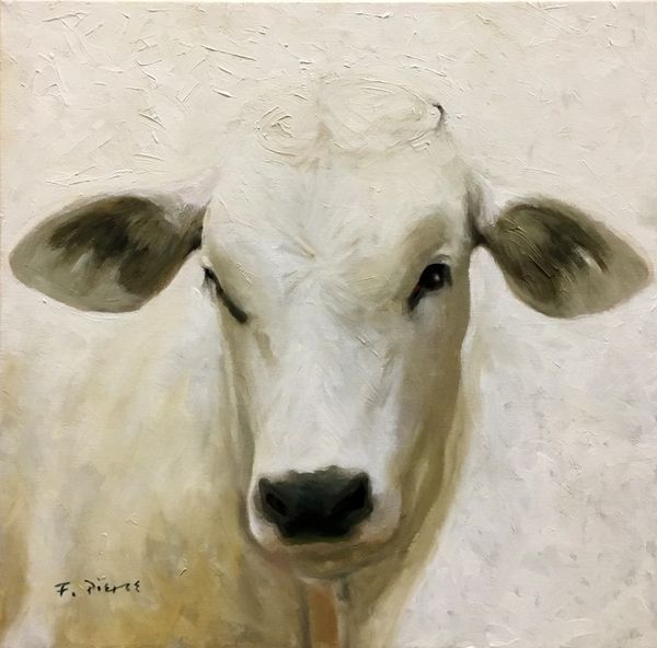 Oil painting of an Italian Chianina calf.