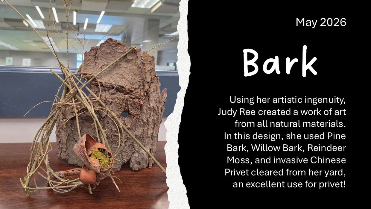 Artistic creation using pine and willow bark with natural materials.