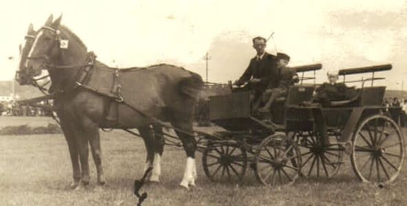 image1