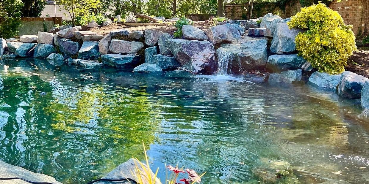 Swim Ponds