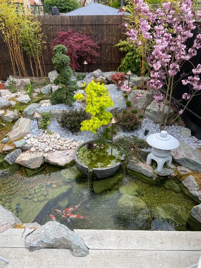 japanese water garden