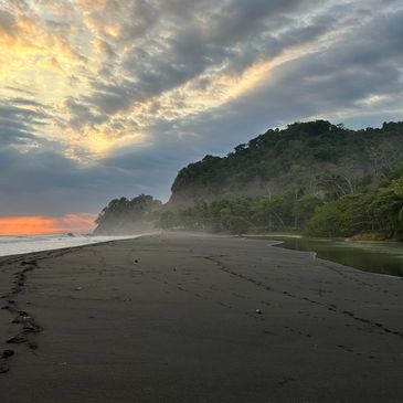 Jungle and ocean meeting