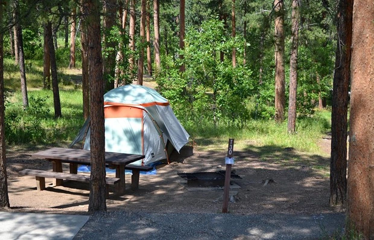 A tent is set up inside the forest