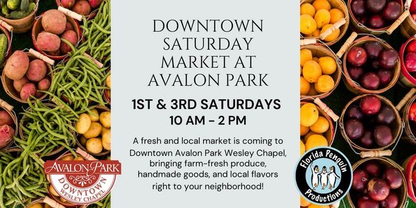 Downtown Saturday Market at Avalon Park Vendor Application