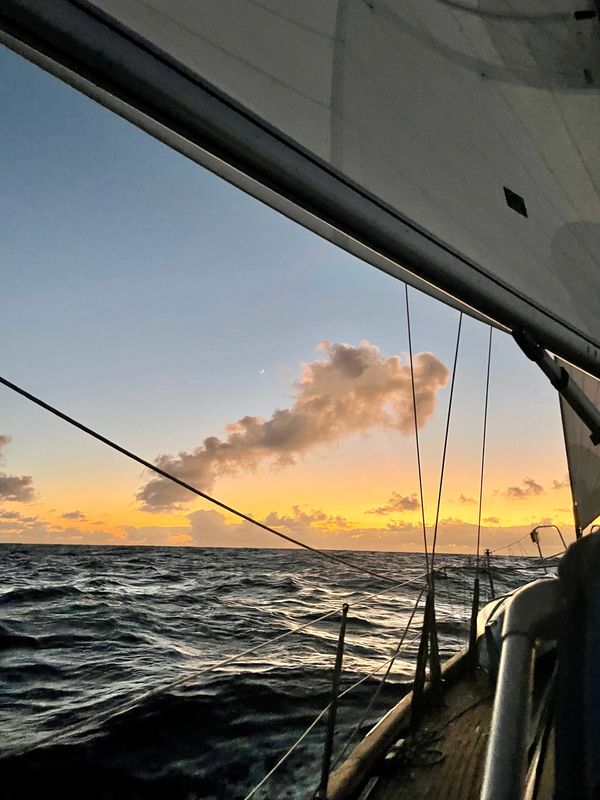Tropical Sailing In the Pacific