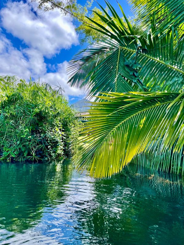 Hanalei Bay, Kauai