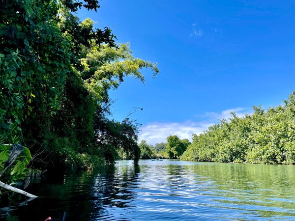Hanalei Bay