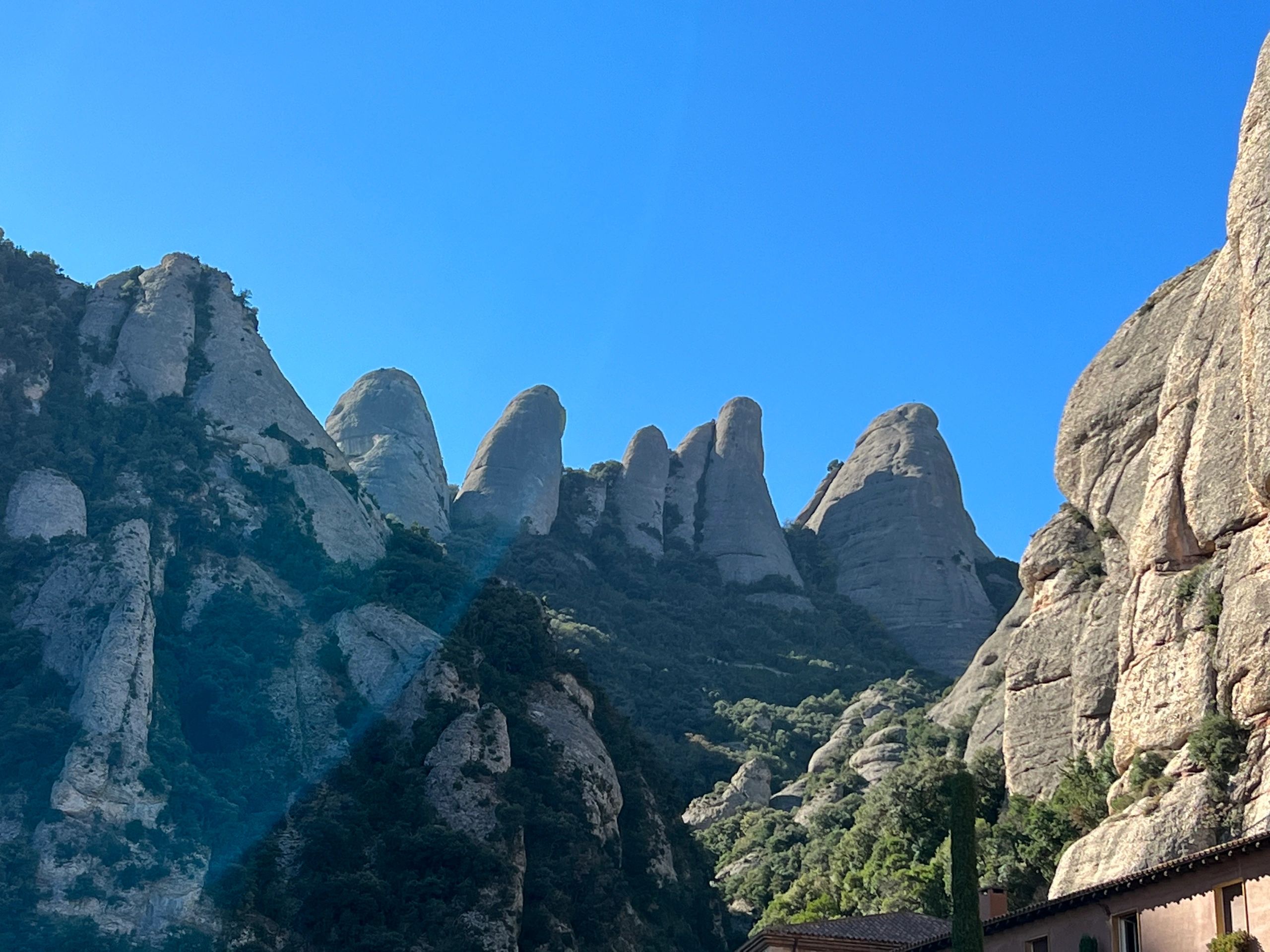 その他 What is Montserrat? What is Montserrat?: Boix Selva, Maur M., Jones, Robert