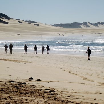 People walking along a sandy beach with dunes in the background.