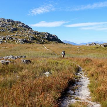 A lone hiker walks along a narrow trail in a grassy, rocky landscape under a clear blue sky.