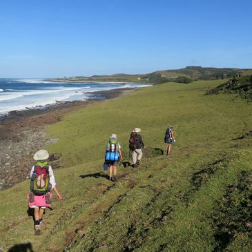Four hikers walking along a grassy coastline under clear blue skies.