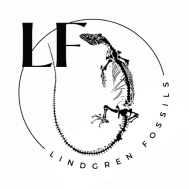 Lindgren Fossils LLC