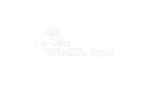 Wildlife Foundation