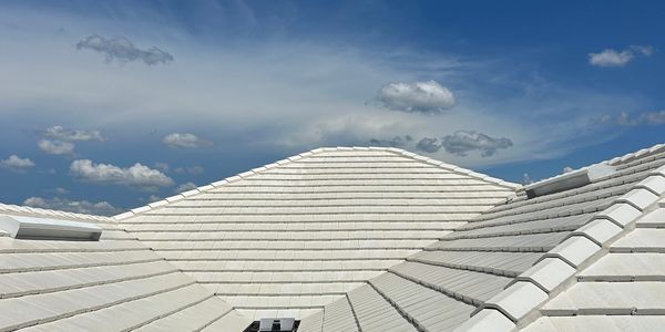 Soft wash roof cleaning for tile, shingle, and metal roofs in Tampa