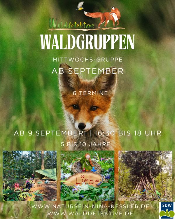 Flyer für Waldgruppen mit Fuchs als Motiv.